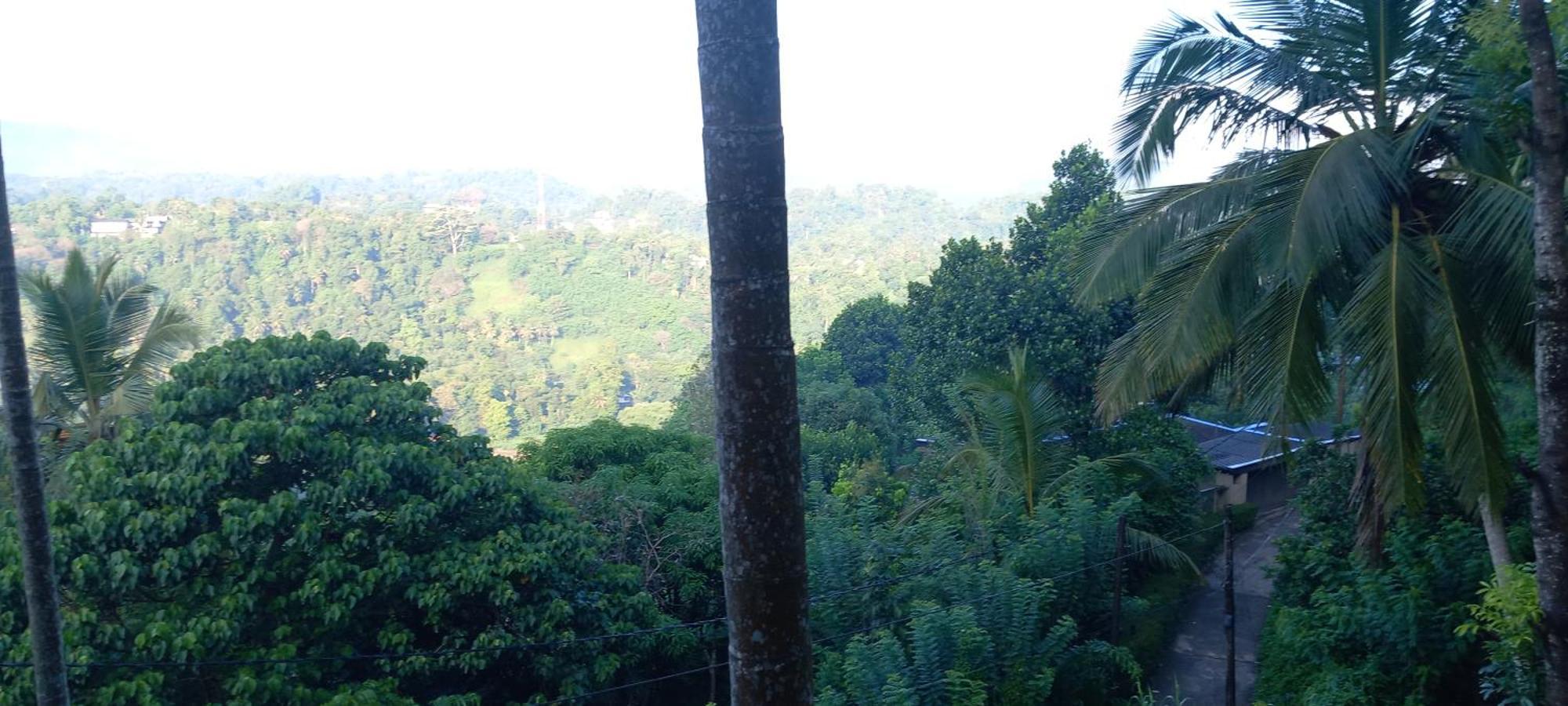 Mountain Bliss Villa Peradeniya Exterior photo